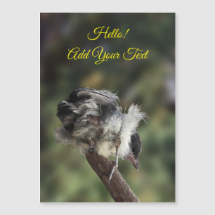 Tidi my Bird the Parus major Magnetic Card Magnetkarte