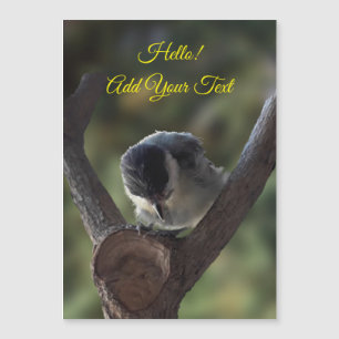 Tidi my Bird the Parus major Magnetic Card Magnetkarte
