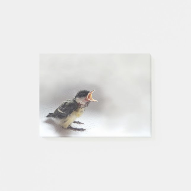Tidi my Bird the Parus Major Post-it Klebezettel (Vorderseite)