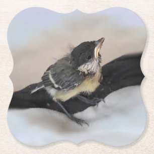 Tidi my Bird the Parus Major Untersetzer