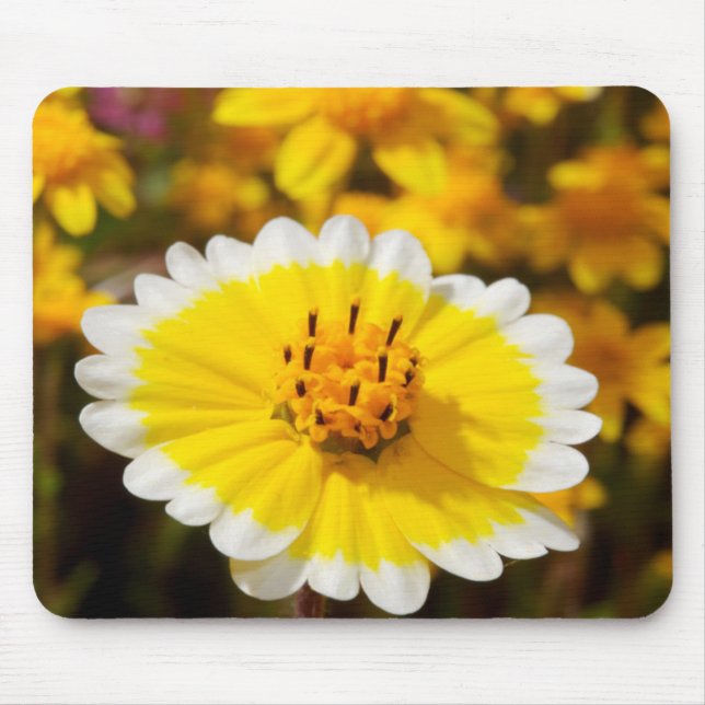 Tidy Tip Wildblumen Mousepad (Vorne)