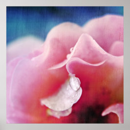 Tief fällt auf rosa Rose Macro Abstrakt Poster