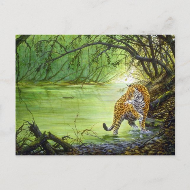 Tief im Wald, Jaguar Postkarte (Vorderseite)