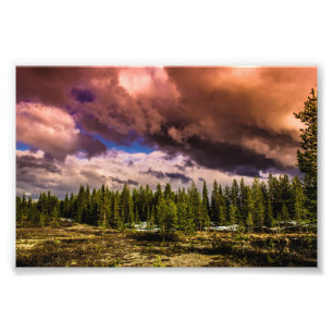 Tief in den nördlichen Wäldern Landschaft Fotodruck