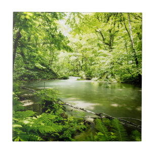 Tief in den Wald Fliese