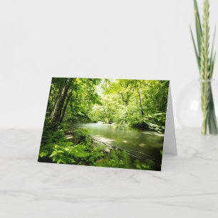 Tief in den Wald Karte