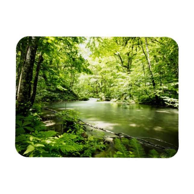 tief in den Wald Magnet (Horizontal)