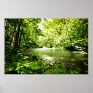 Tief in den Wald Poster