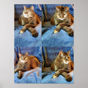 TIEF IN GEDANKENKITÄT POSTER