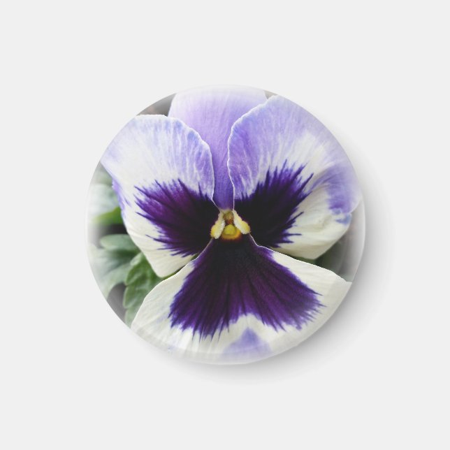 tief lila auf weiße Pansie Magnet (Vorne)