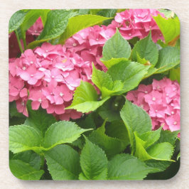 Tief rosa Hydrangeas Untersetzer