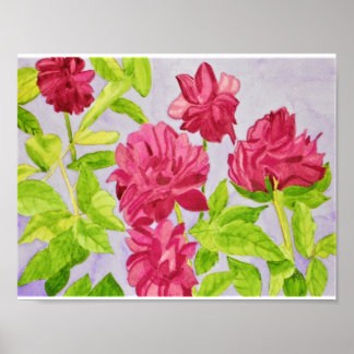 Tief rosa Roses Wasserfarbe Poster