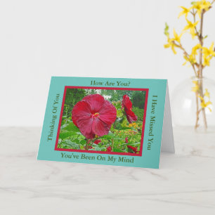 TIEF ROTER HIBISKUS / DENKEN SIE Grußkarte Karte