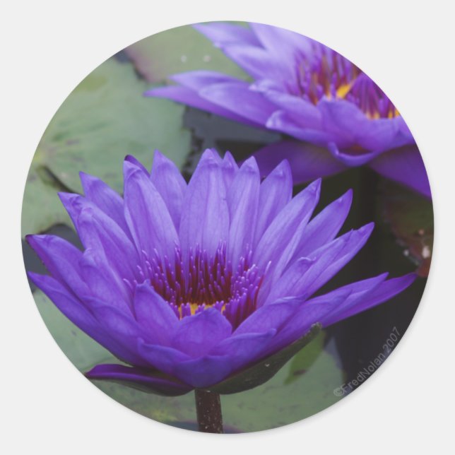 Tiefblauer Lippensticker Runder Aufkleber (Vorderseite)