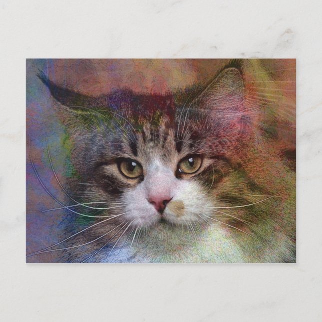 Tiefe Gedanken Postkarte (Vorderseite)