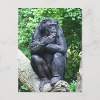 Tiefe Gedanken Postkarte