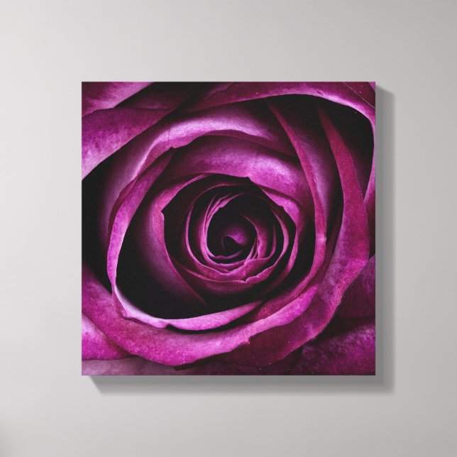 Tiefe Lila Rose Leinwanddruck (Vorderseite)