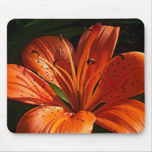 Tiefe Orange Mousepad