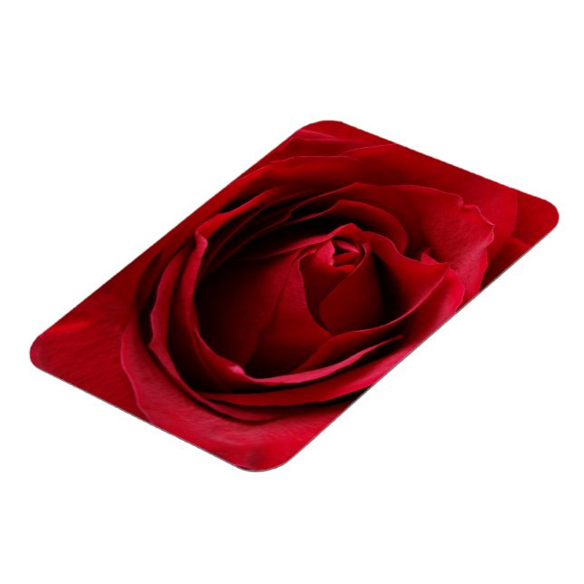tiefe rote Rose Magnet (Linke Seite)