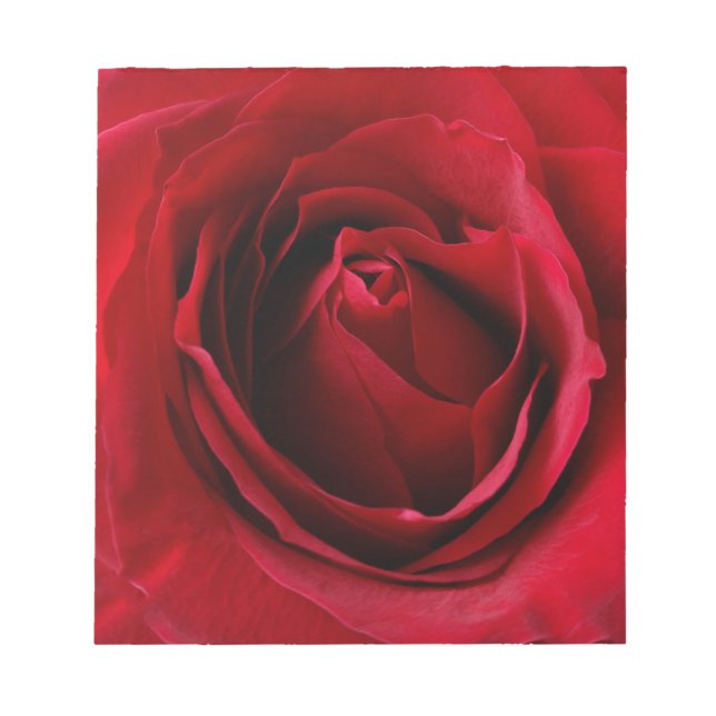 tiefe rote Rose Notizblock (Vorderseite)