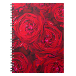 Tiefe rote Rosen Notizblock