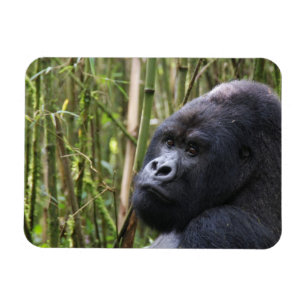Tiefland-Gorilla-flexibler Magnet