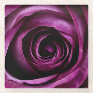 Tiefpurpurne Rosen-romantische Natur Glasuntersetzer