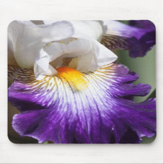 Tiefpurpurne und weiße Iris Mousepad