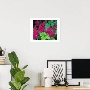 Tiefrosa Astilbe-Blüten Floral Poster