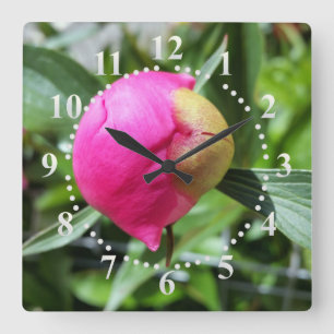tiefrosa Bube Quadratische Wanduhr