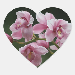 tiefrosa Orchideenkleber Herz-Aufkleber
