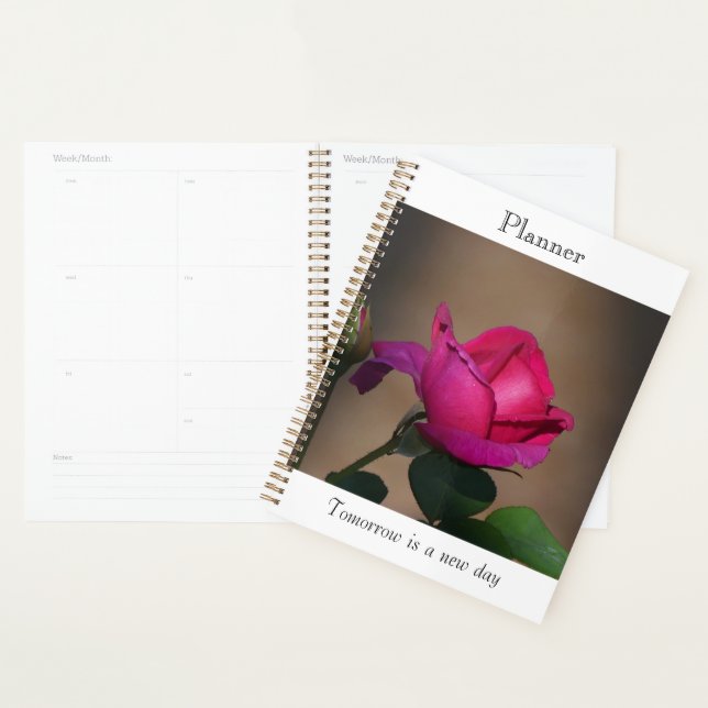 Tiefrosa-Rosen-Planer Planer (Anzeige)
