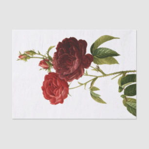 Tiefrotes Vintages Rosenmalen Seidenpapier