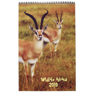 Tier-Afrika-Kalender 2010 - afrikanische Safari Kalender