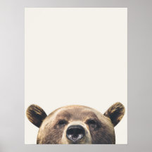 Tier Bär