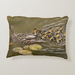 Tier - Enten - Schwimmen wie eine Ente Dekokissen