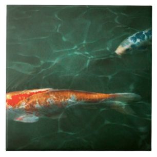 Tier - Fisch - Koi - Eine weitere Fischgeschichte Fliese