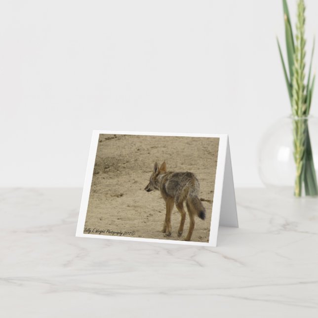 Tier-Fotografie-Anmerkungs-Karten-Entwurf 3 Karte (Vorderseite)