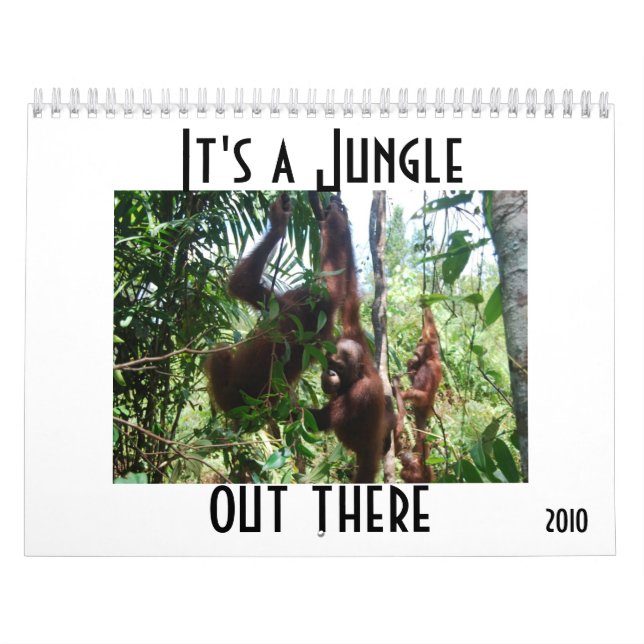 Tier-Fotografie Kalender (Titelbild)