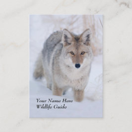 Tier-Führer-Kojote-Visitenkarte Visitenkarte