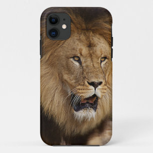 Tier iPhone 5 Fall-Partner Fall mit Lion Case-Mate iPhone Hülle