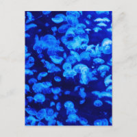 Tier Jelly Fish Water Blue