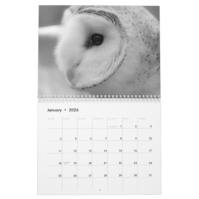 TIER-KALENDER 2013 DURCH MAYES %PIPE% FOTOS KALENDER (Jan 2026)