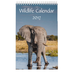Tier-Kalender 2017 Kalender