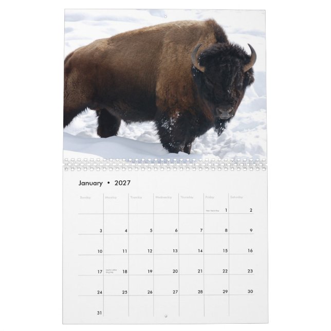 Tier-Kalender Kalender (Jan 2027)