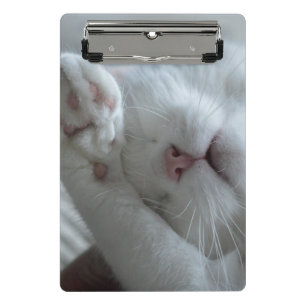 Tier, Katze, Feline Mini Klemmbrett
