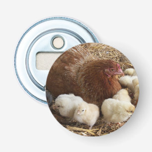 Tier, Küken, Huhn, Bauernhof, niedlich, Vogel, Bab Flaschenöffner