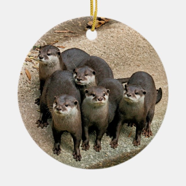 Tier-Otter-Weihnachtsverzierung Keramik Ornament (Vorne)