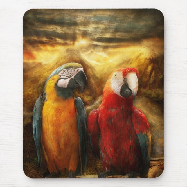 Tier - Papagei - Papagei-dise Mousepad (Vorne)