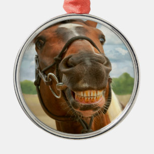 Tier - Pferd - ich got schließlich meine Klammern Ornament Aus Metall